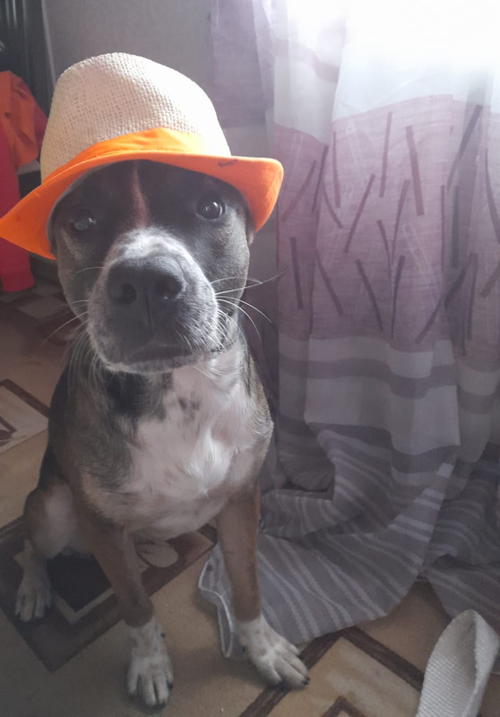 4DE155B5-415E-4613-8D5B-A140C7FE52C7