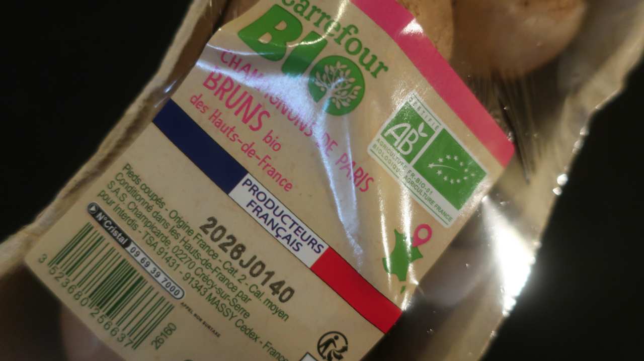 batch IMG 0612