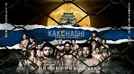  Rizin Landmark 10 