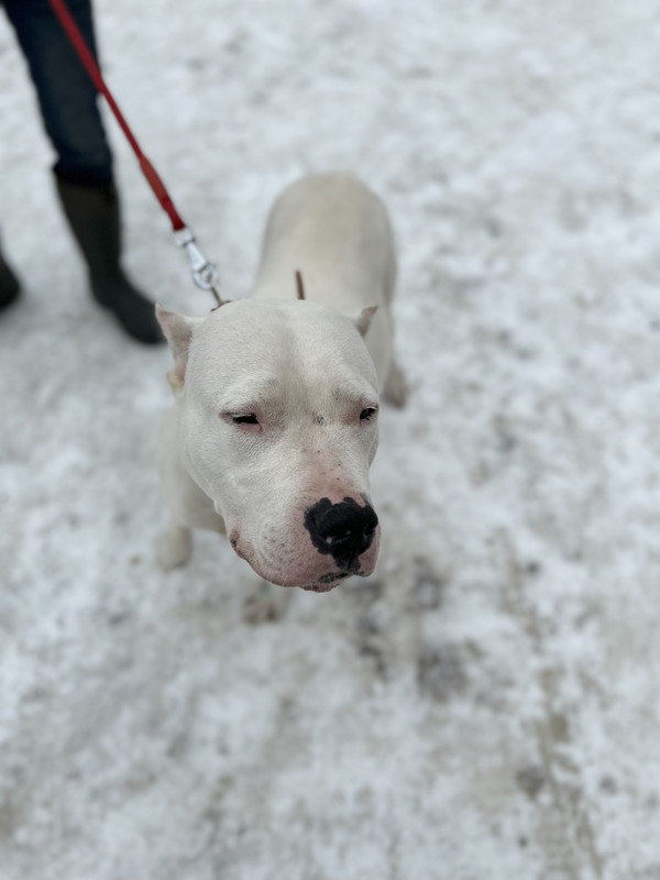 CBB0E325-3B67-41E6-95E7-B4F28F2AC6D1