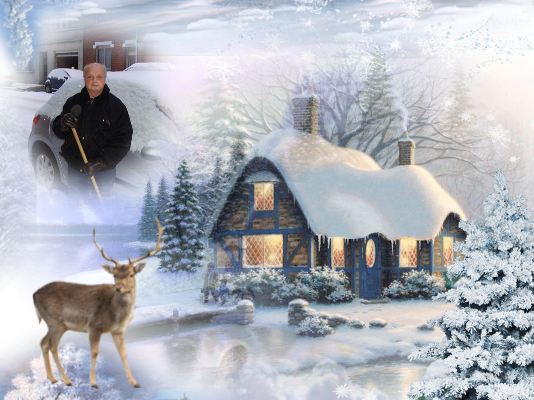 Image and video hosting by TinyPic