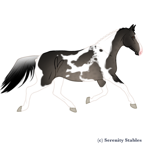 Untitled562-20240521123825.png