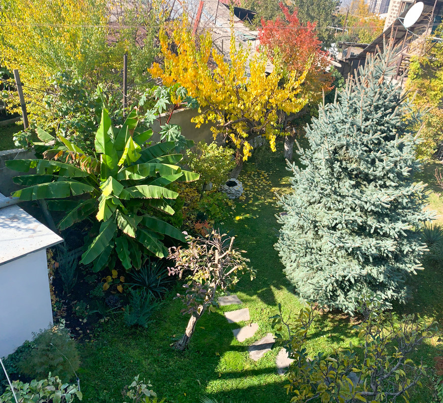 87B03679-9B16-4554-8120-9E0C3AE4B1B3