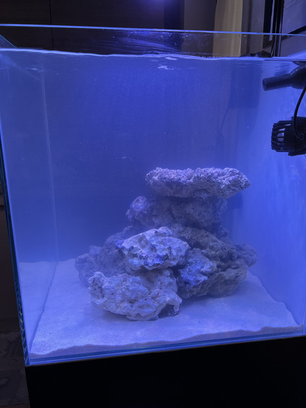 2A3CFCCC-2832-4EA3-941D-DEFAD8E8804B