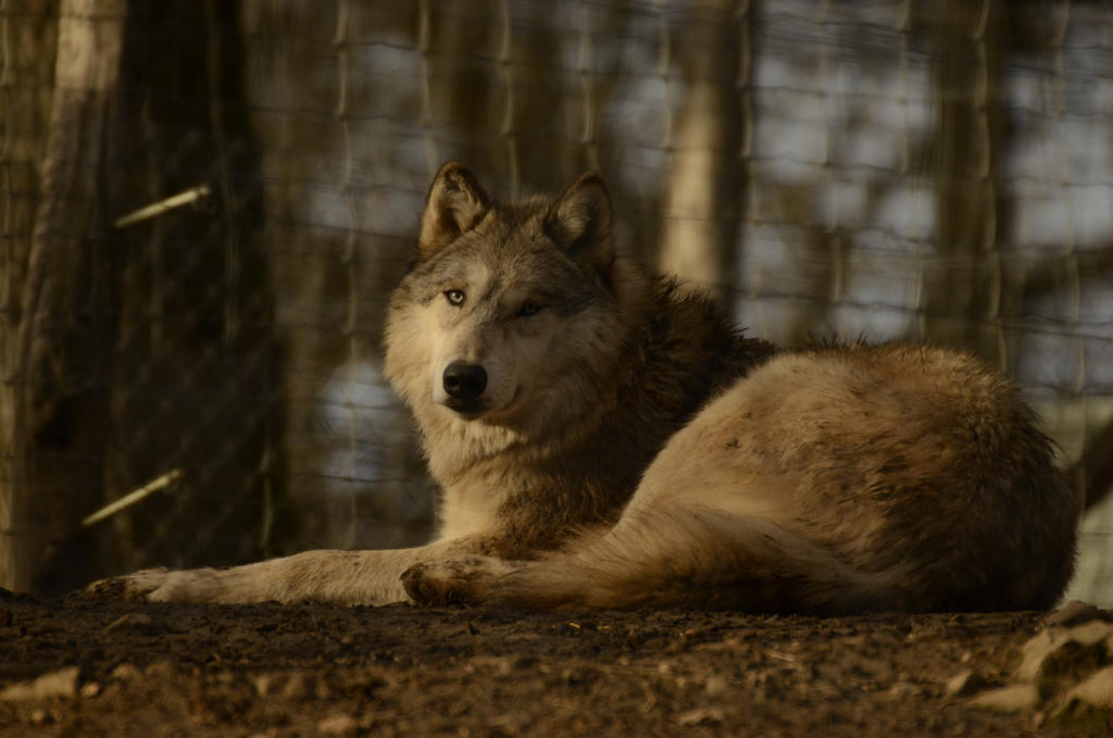 BC8D5D04-D5FD-48F7-9BB2-D68D9F55D08E