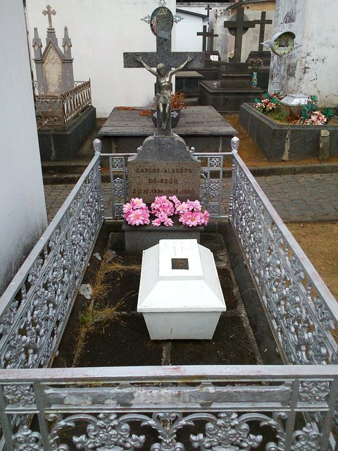 CEMENTERIO SAN JOAQUIN-8-7-2014 - Portugal y sus pueblos-1996/2024 (13)