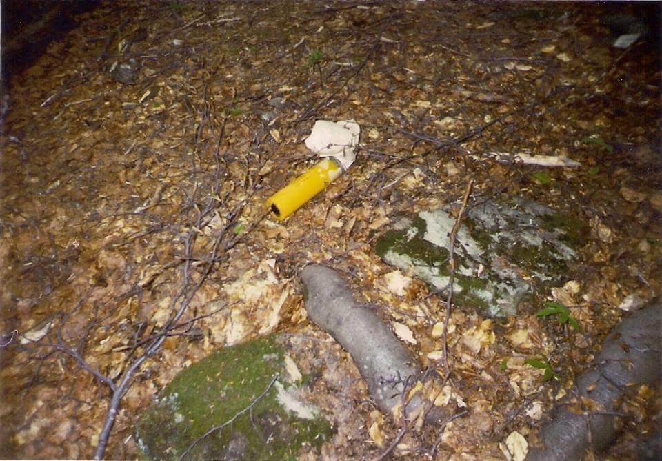 FB_IMG_1526812556090