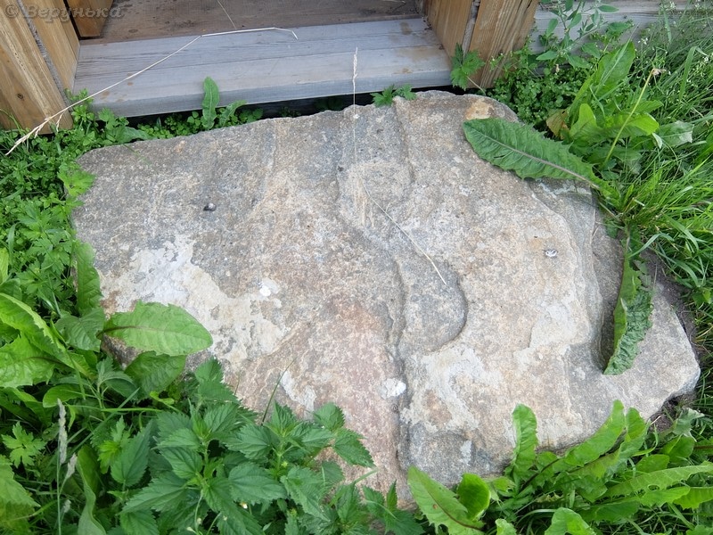 DSCF9546