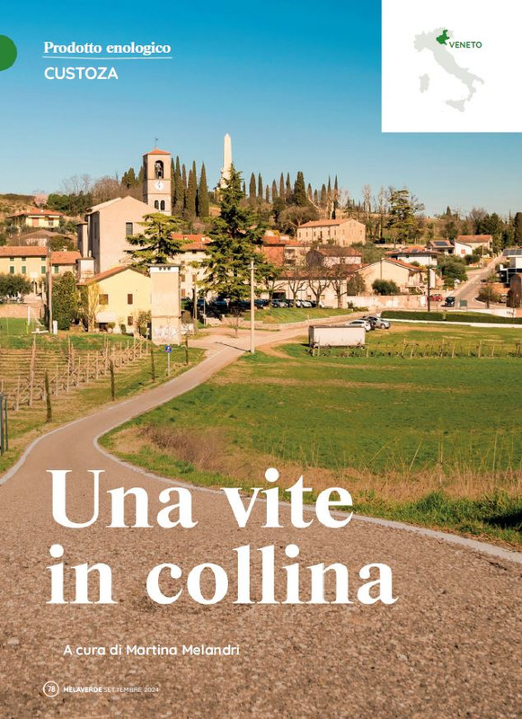 melaverde Set 2024 (7)