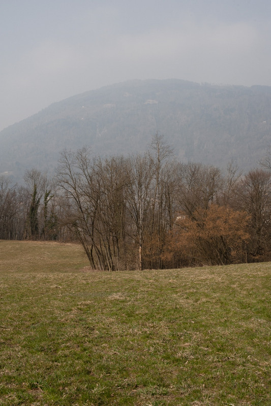 Nikon D700_15mar2022_28 (852x1280)