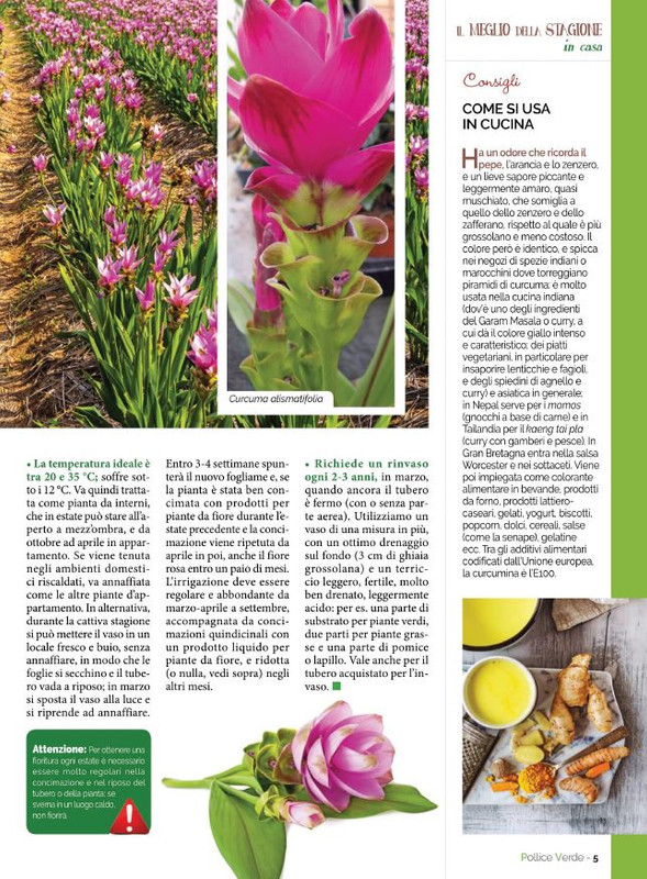 Pol Ver Set 2021 (2)