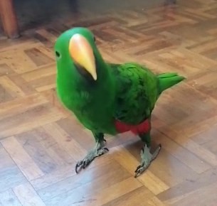 2222.png