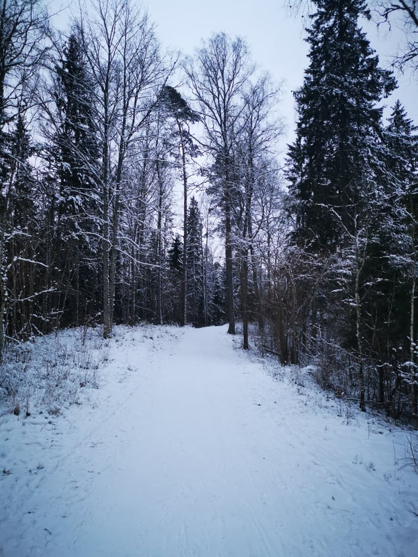 137537249_701456640547900_7670337998796065268_n