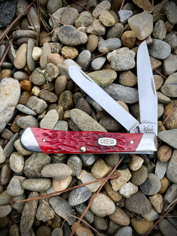 62DB46A5-C6C0-4B95-91E9-8CC19EF04455