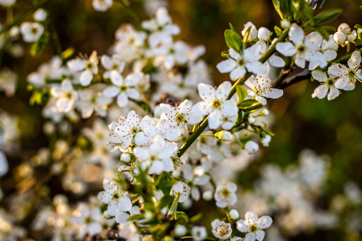 B657E64C-1FF1-4C10-8CD6-F55B651D22C1