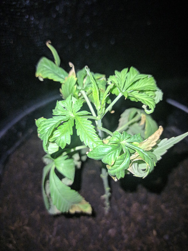 HC_20230214_021104_null