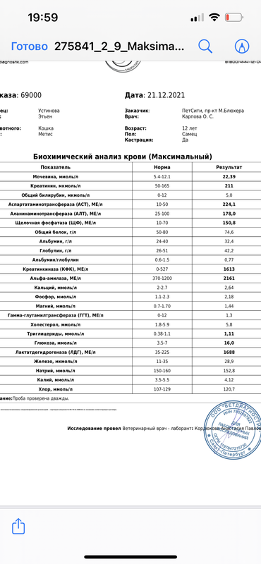 C35A4998-44CD-4E96-B428-176DED911120