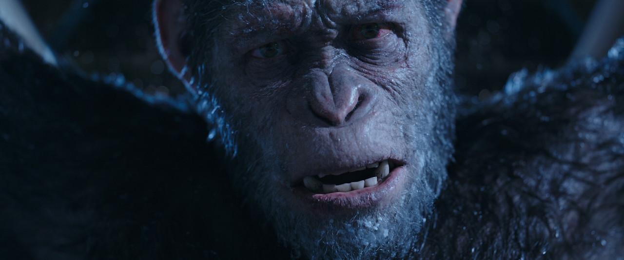 War for the Planet of the Apes 2017 (1080p x265 10bit Tigole).mk