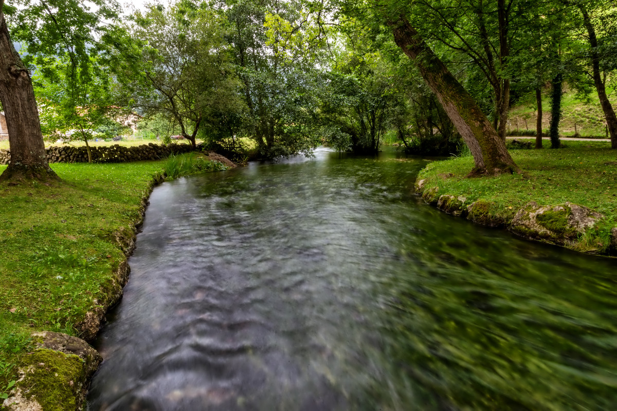 CANTABRIA - Blogs de España - FONTIBRE - BARCENA MAYOR - RUENTE (8)