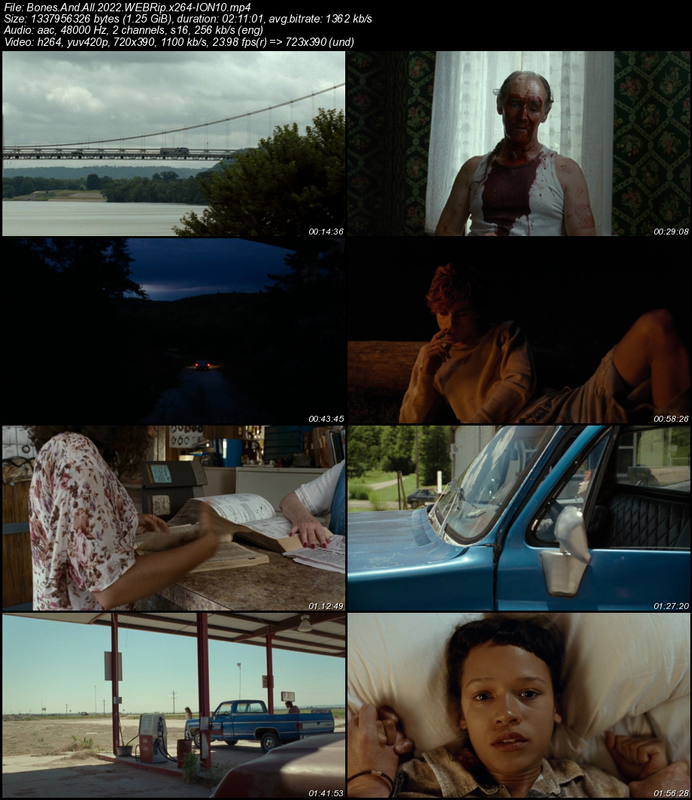 Bones-And-All-2022-WEBRip-x264-ION10.png