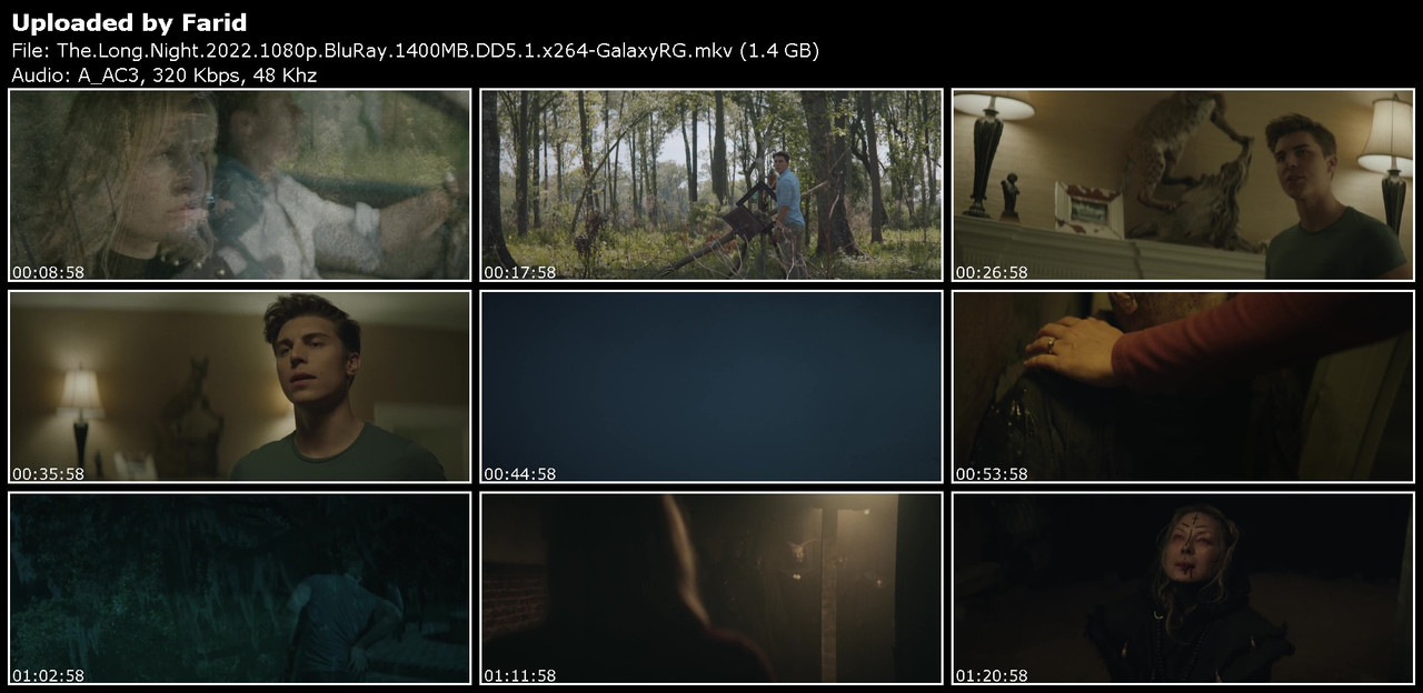 The-Long-Night-2022-1080p-Blu-Ray-1400-MB-DD5-1-x264-Galaxy-RGTGx.jpg