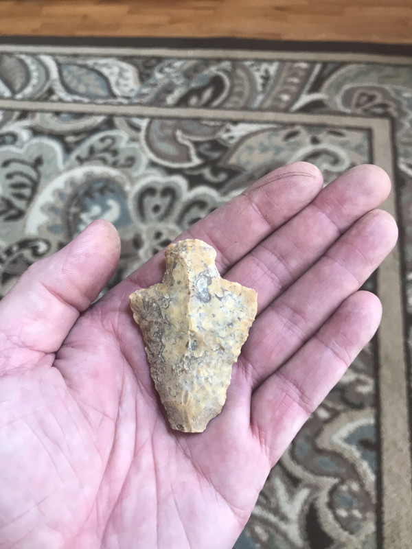 8DCA57E7-D0D0-410A-BB17-C8DF31F99CEF