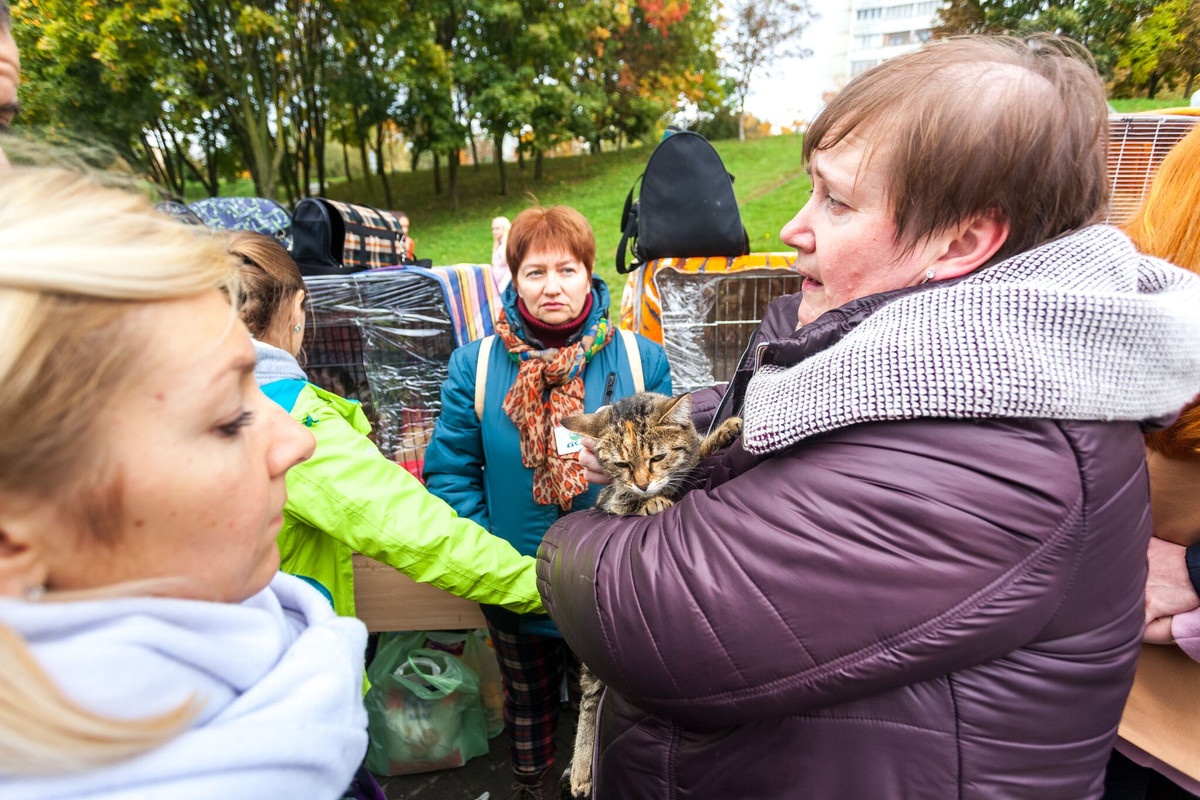 0C3EF5D7-B195-418A-AB59-05C38547EA97