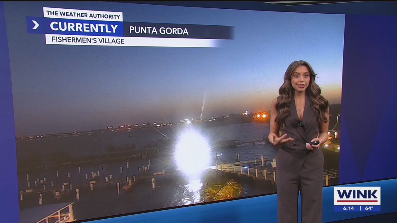 WINK News at 600am_20250306_11001130.ts_snapshot_15.12.332