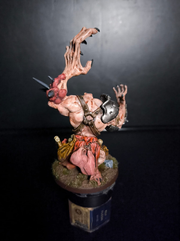 WhatsApp Image 2024-10-28 at 17.15.34(1)