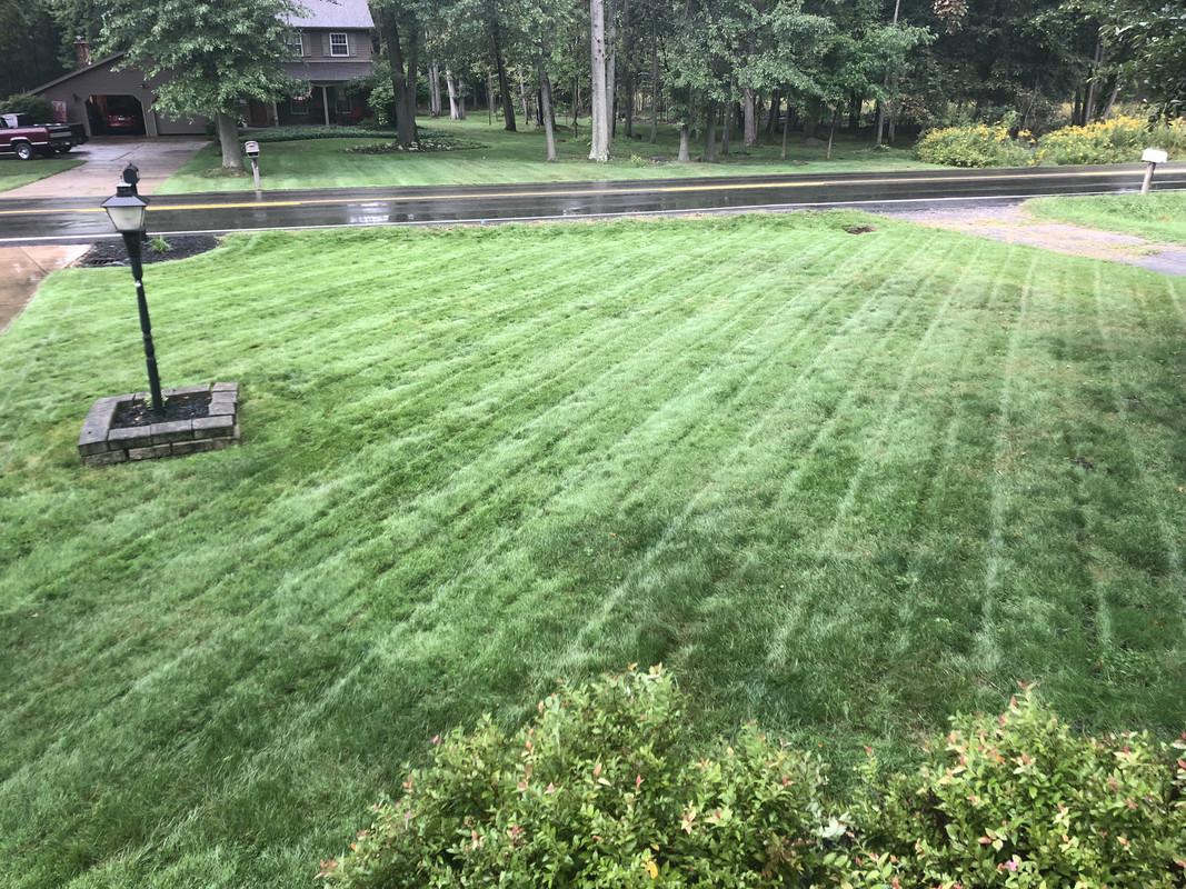 1185A39D-EFDF-49AF-8A6F-264F0E84F9B5