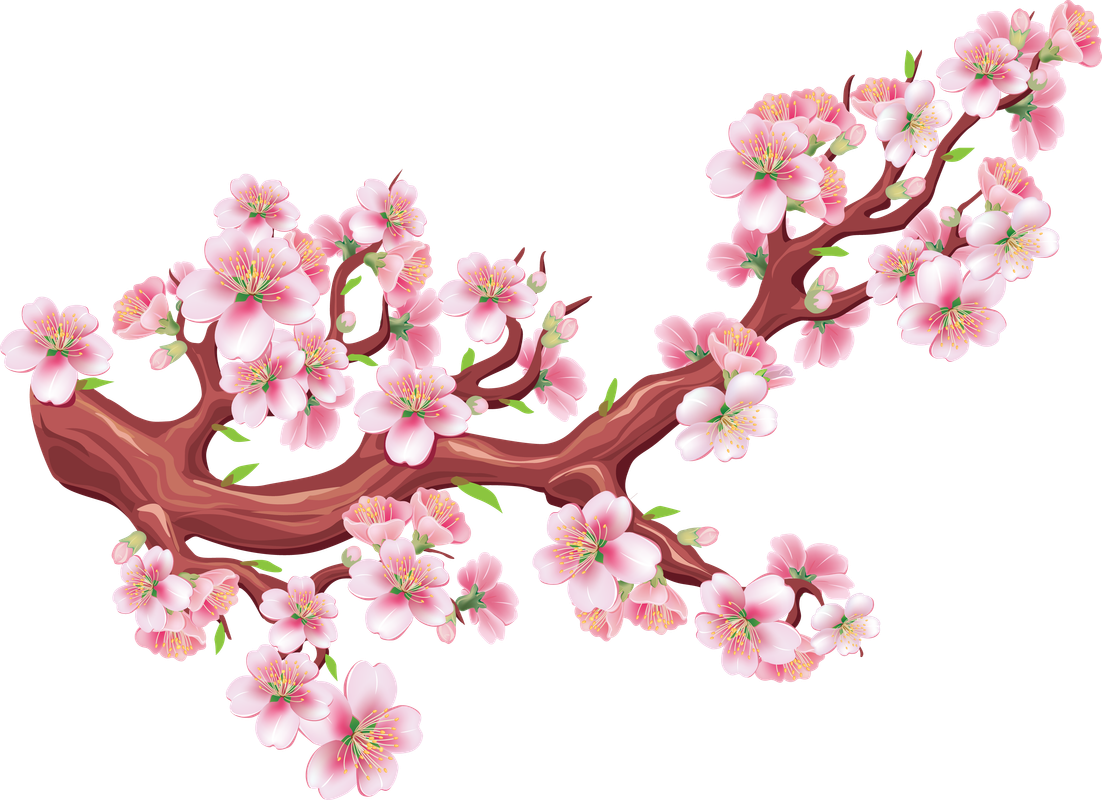 Pohon Sakura