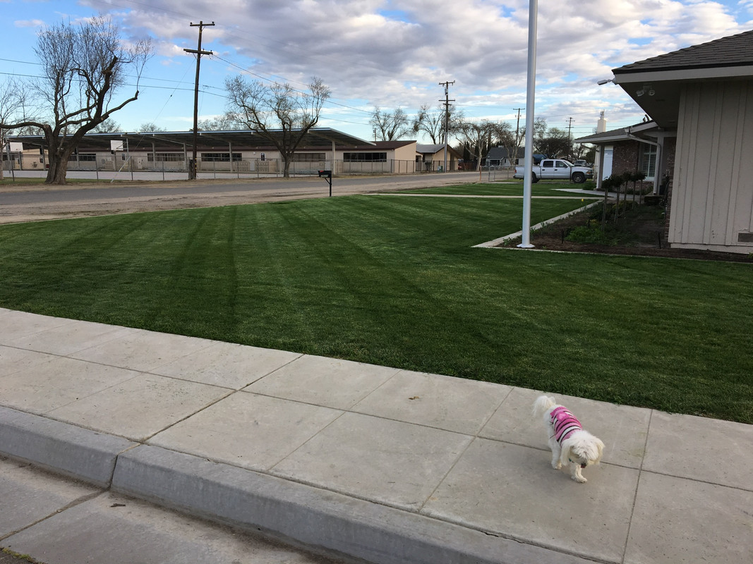 B0CD5C4E-CDF4-418F-8831-9A0B51FB8410