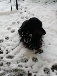 [Image: IMG-20210407-093425.jpg]