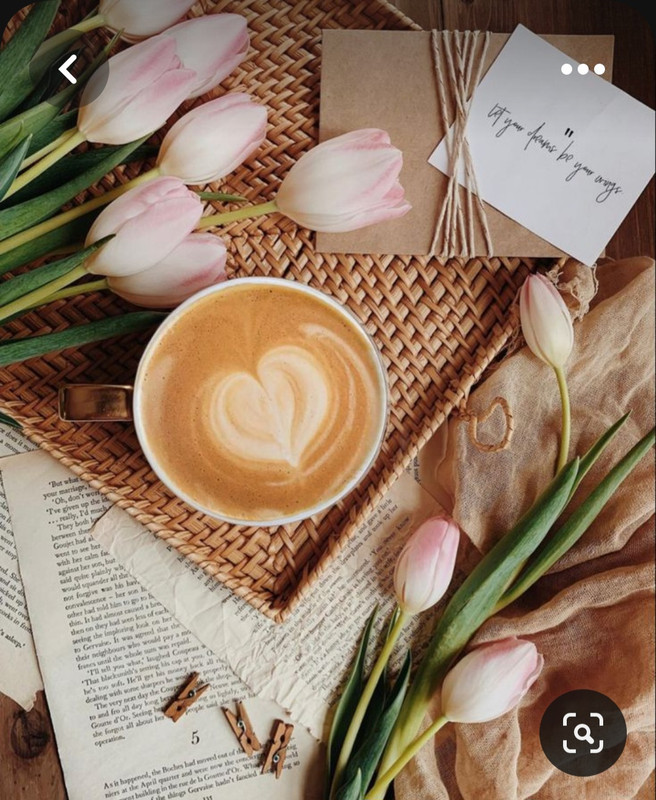 Screenshot_20230517_005001_Pinterest