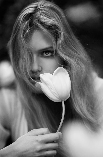 ���� ���� ������ �� ���� ������