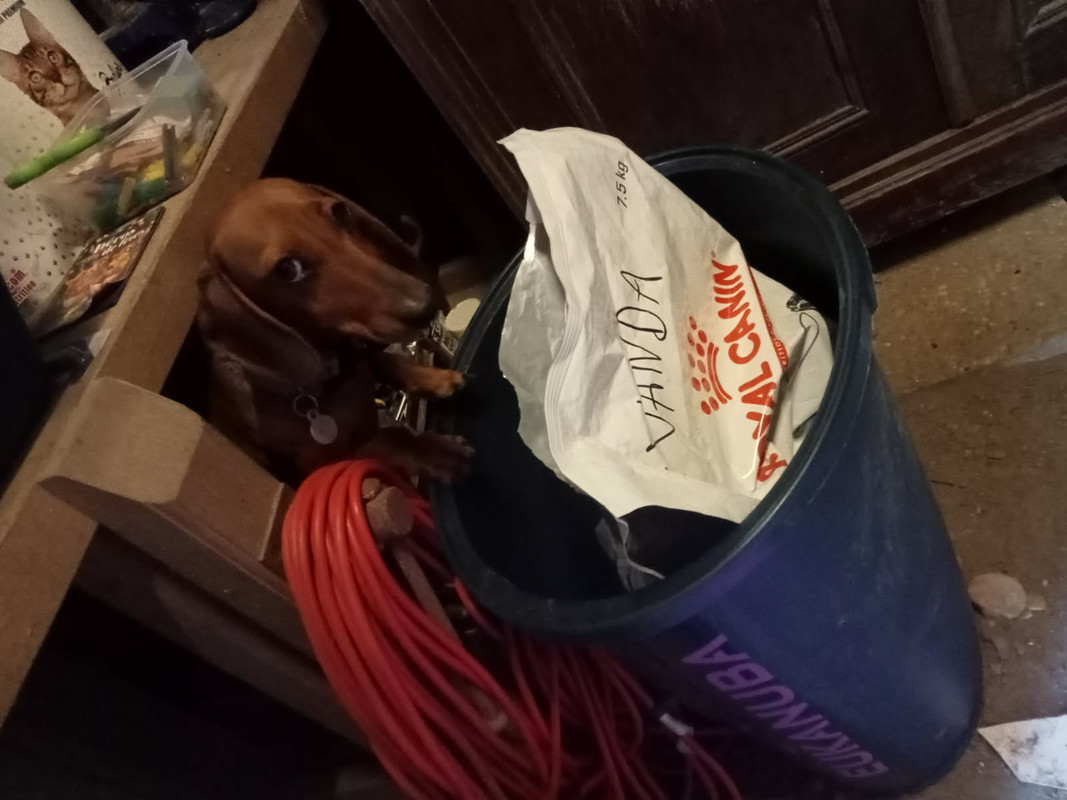 [Image: IMG-20250921-094147.jpg]