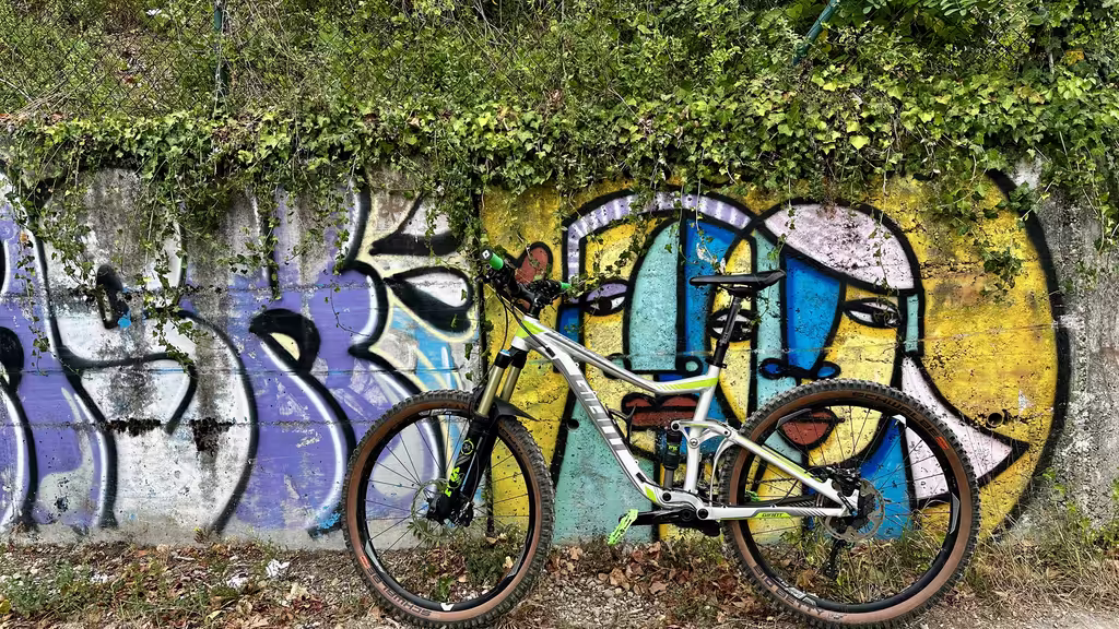 https://i.postimg.cc/fLXC9RKJ/IMG-9663.avif