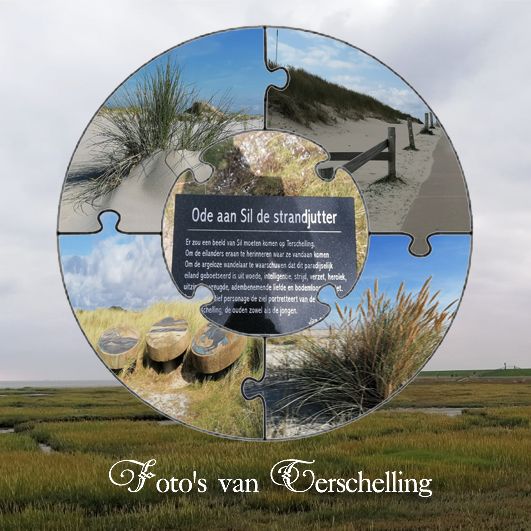 Vijf-foto-s.png