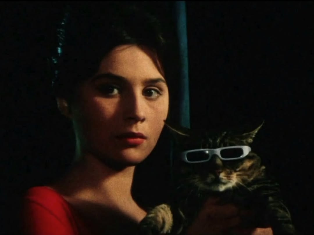 AISelect 20251227 141813 Instagram