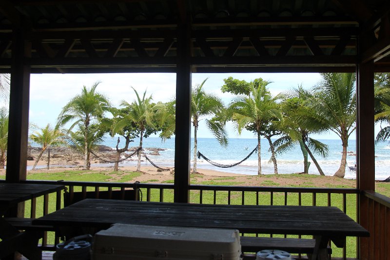 DIA 13: EXCURSIÓN DE UN DÍA A CORCOVADO - DE TORTUGAS Y PEREZOSOS. COSTA RICA 2019 (26)