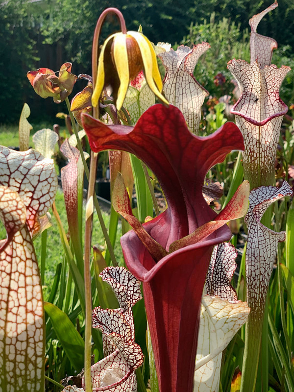 CC2FD840-C429-4783-8C4F-B10018296956