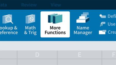 Managing and Analyzing Data in Excel (Office 365/Excel 2019)