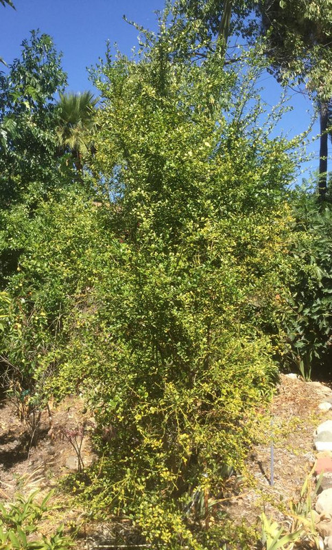 25B713B3-2431-4C00-B189-A35FAD47F72D