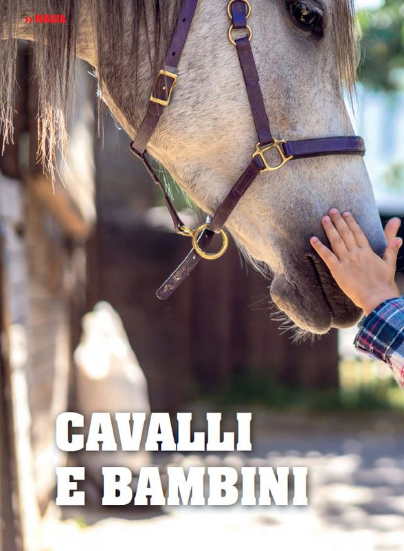Il Mio Cav (Apr 2023) 1
