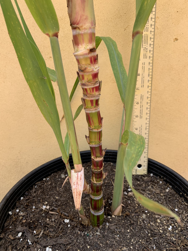 BB23F918-DB97-45E7-A669-95F1BF5F8387