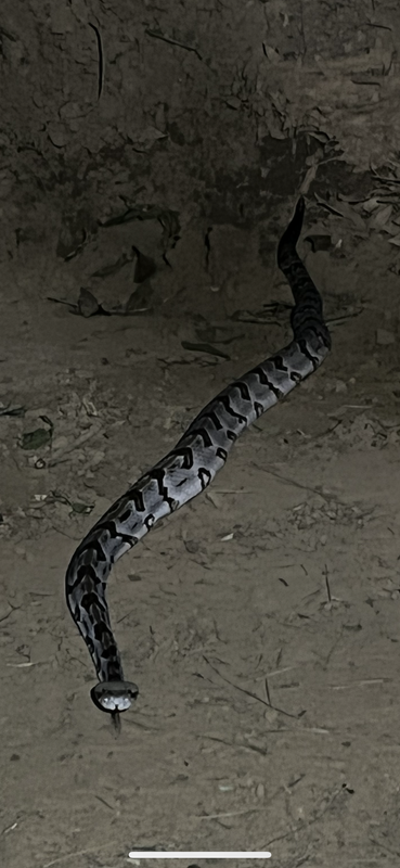 14CC2B40-A001-465D-8141-00978FD5BFF2