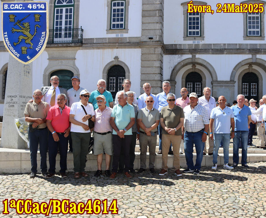 1-CCac-BCac4614