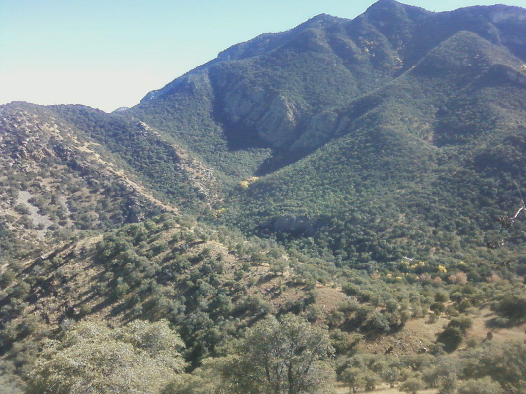 Coues hunt 2017