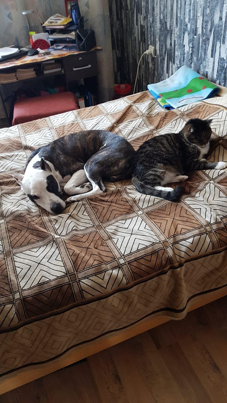 0D56F024-9257-424E-B4C5-3430CF608A9C