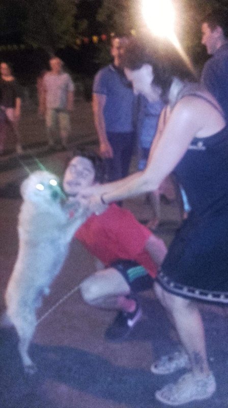 508453B5-8155-4F6F-AF9D-220CD43ED925